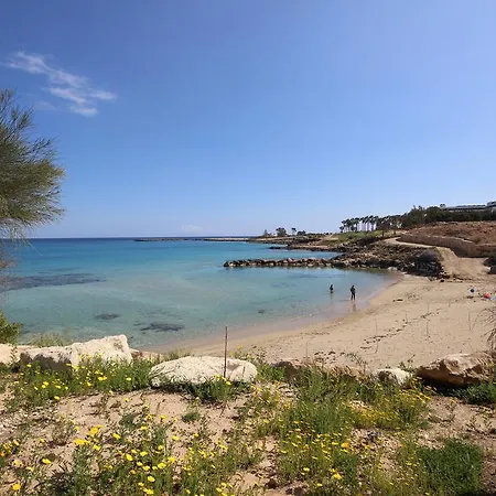 Vyzakia Πρωταράς