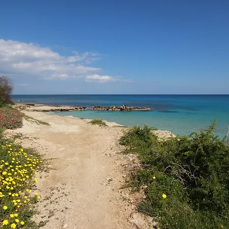 Vyzakia *